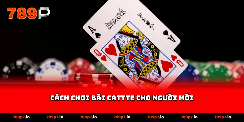 Cách chơi bài cattte cho người mới